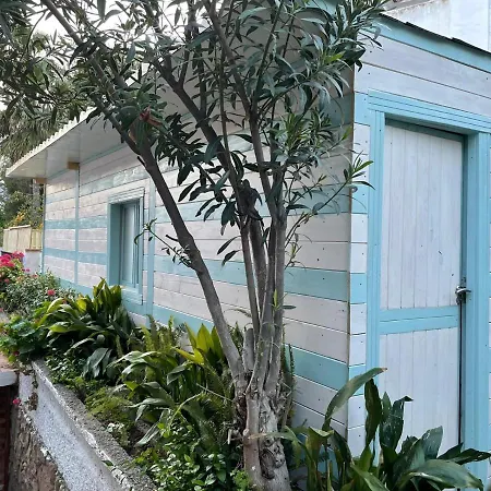 Palma Bed & Breakfast Marbella