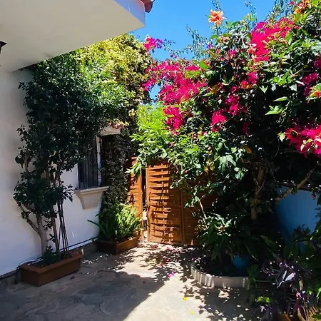 Bed and breakfast Palma Marbella