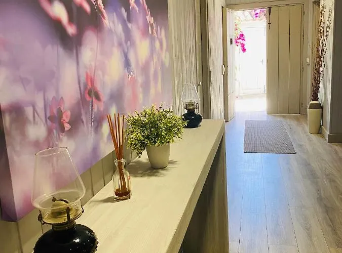 فندق مبيت وإفطار Palma ماربيا