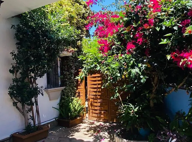 فندق مبيت وإفطار Palma ماربيا